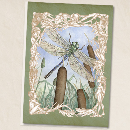 dragonfly