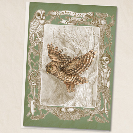 owl