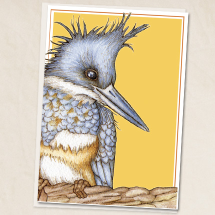 Kingfisher Moderne